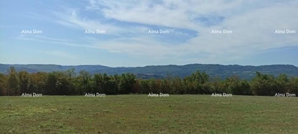 Image 6253035 - 6