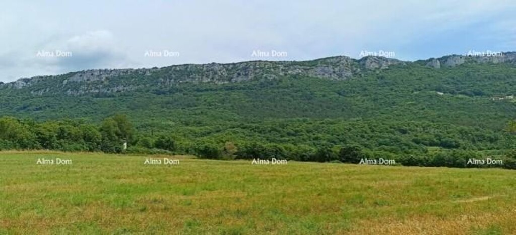 Image 6253035 - 4