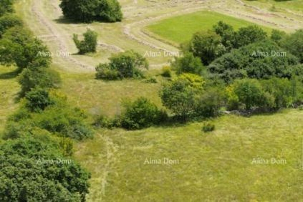 Image 6253041 - 3