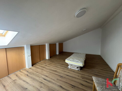 Thumbnail 6253181 - 5