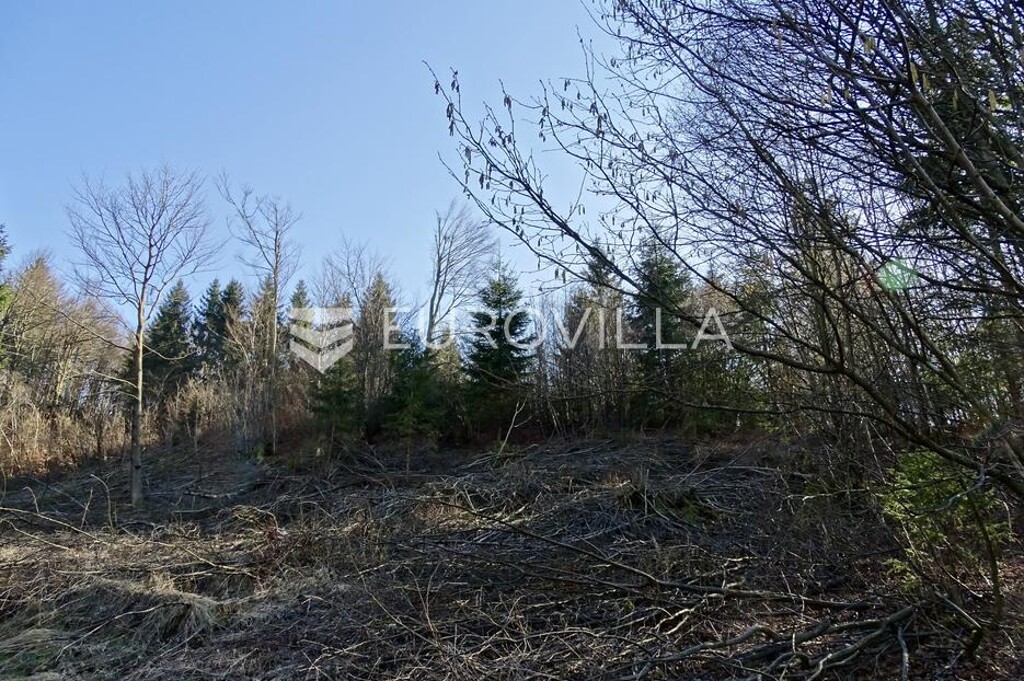 Image 6253261 - 10