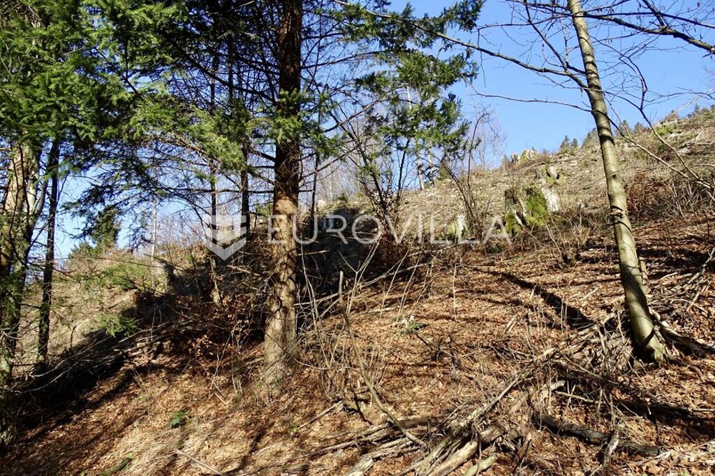 Image 6253261 - 7