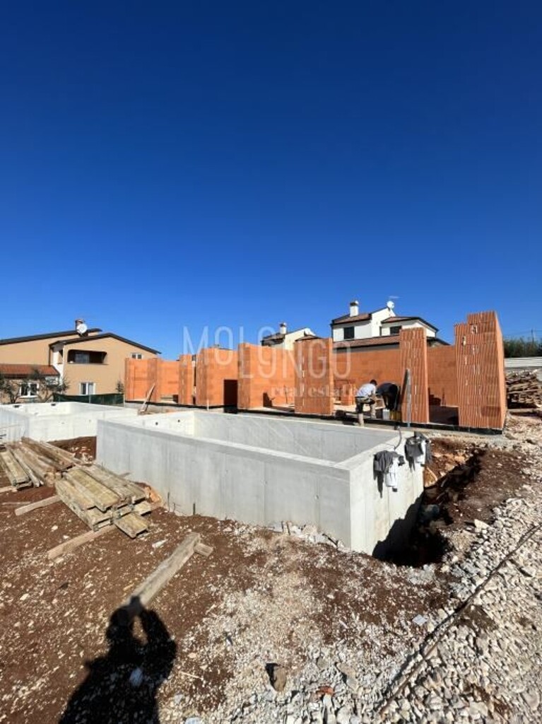 Image 6253346 - 4