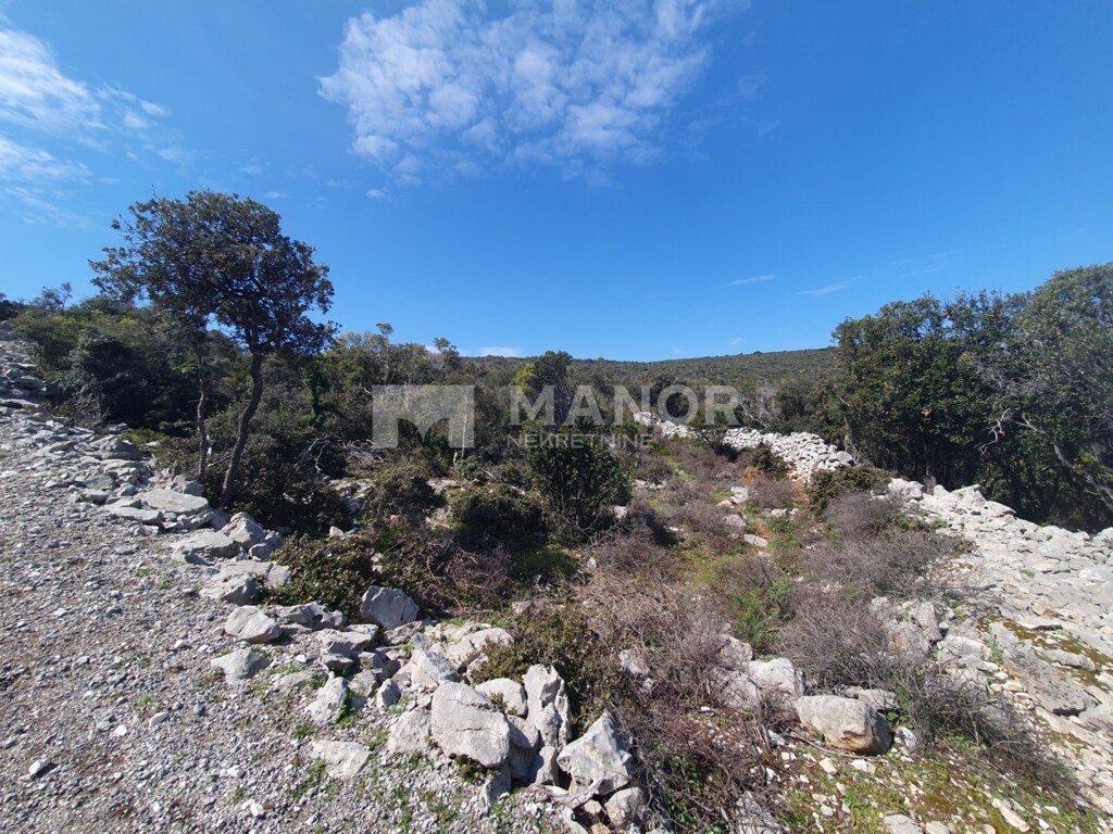 Image 6253365 - 1