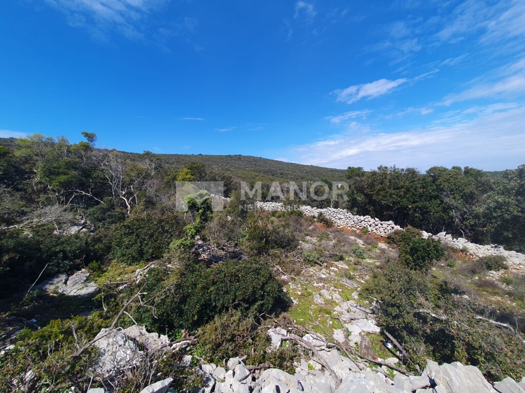 Image 6253365 - 2