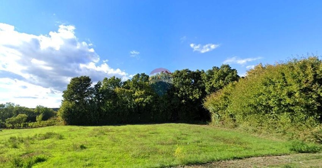 Image 6253385 - 1