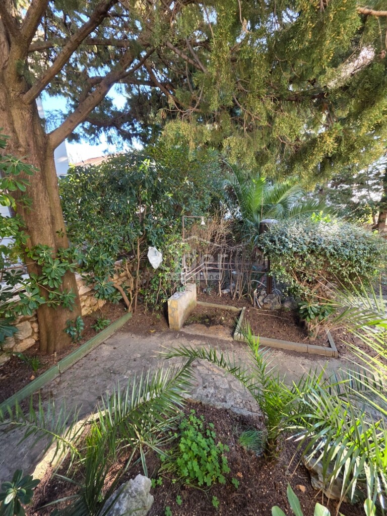 Image 6253414 - 6