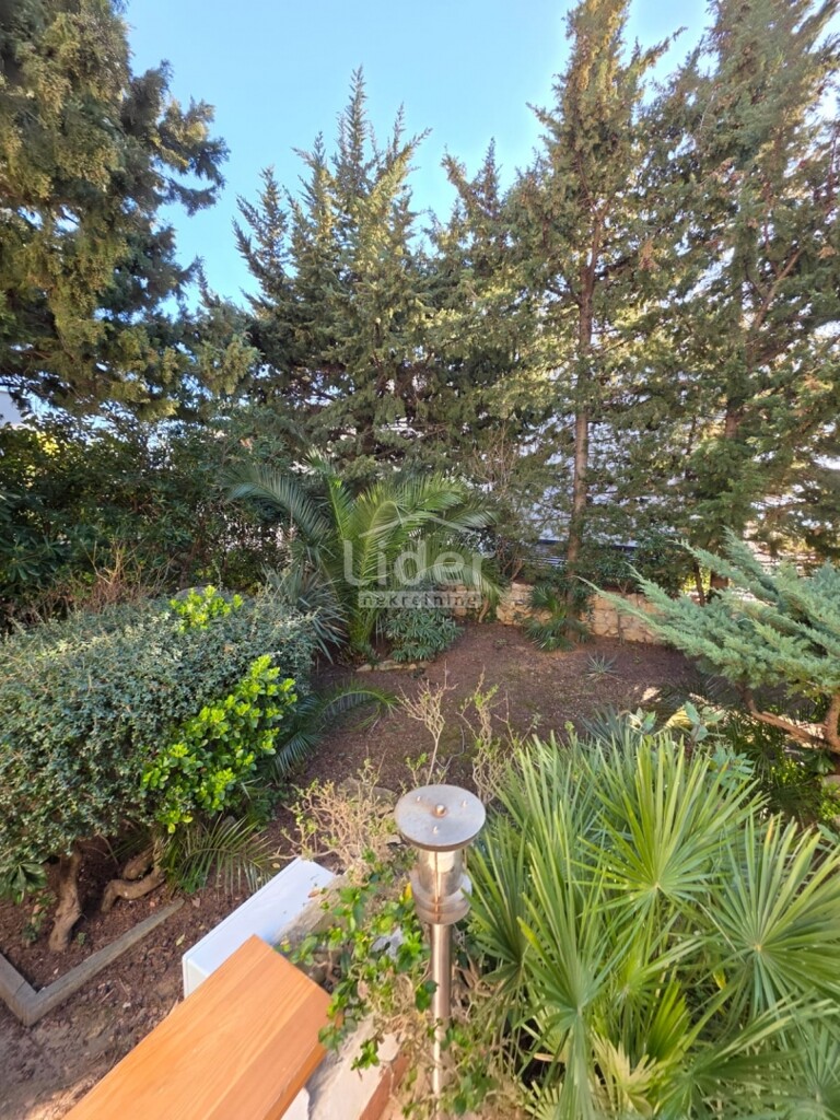 Image 6253414 - 5