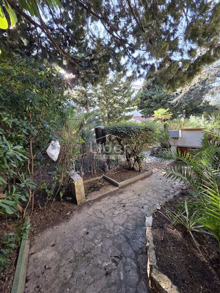 Image 6253414 - 8