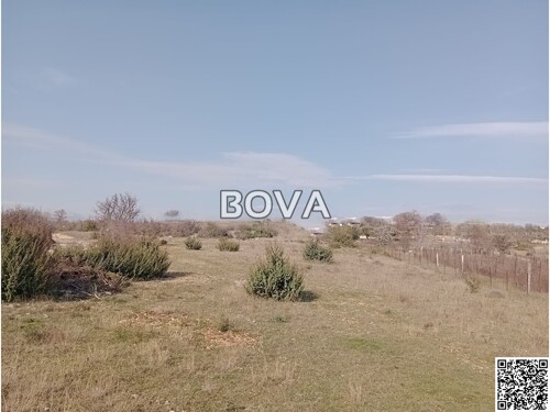 Thumbnail 6253415 - 1