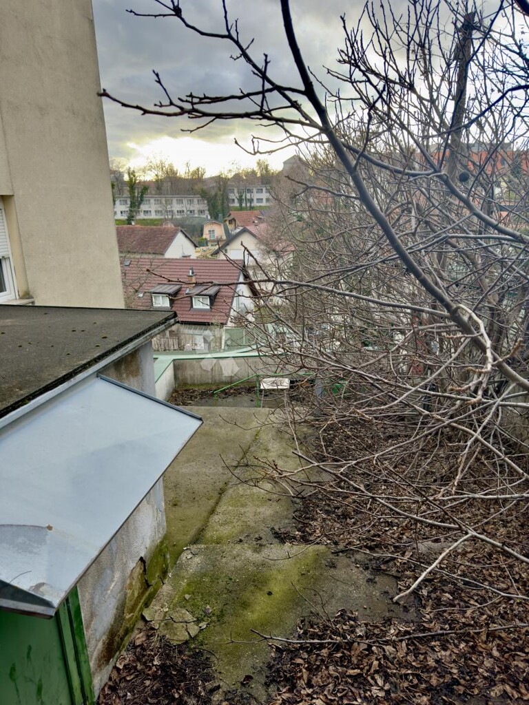 Image 6253428 - 3