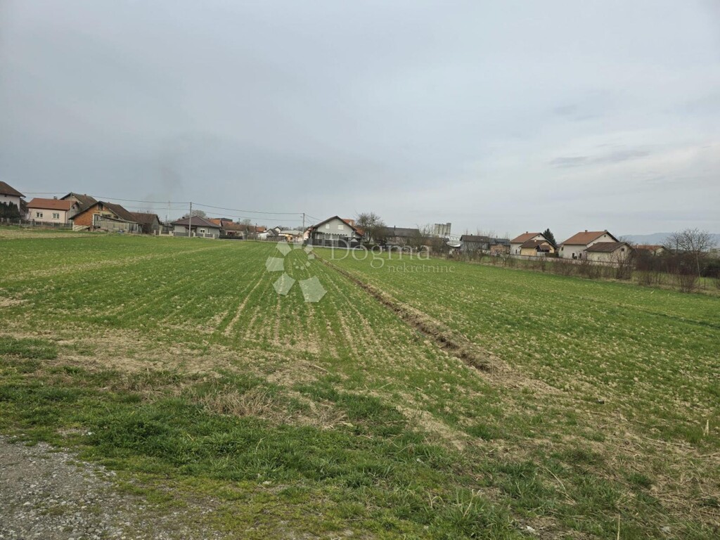 Image 6253451 - 3