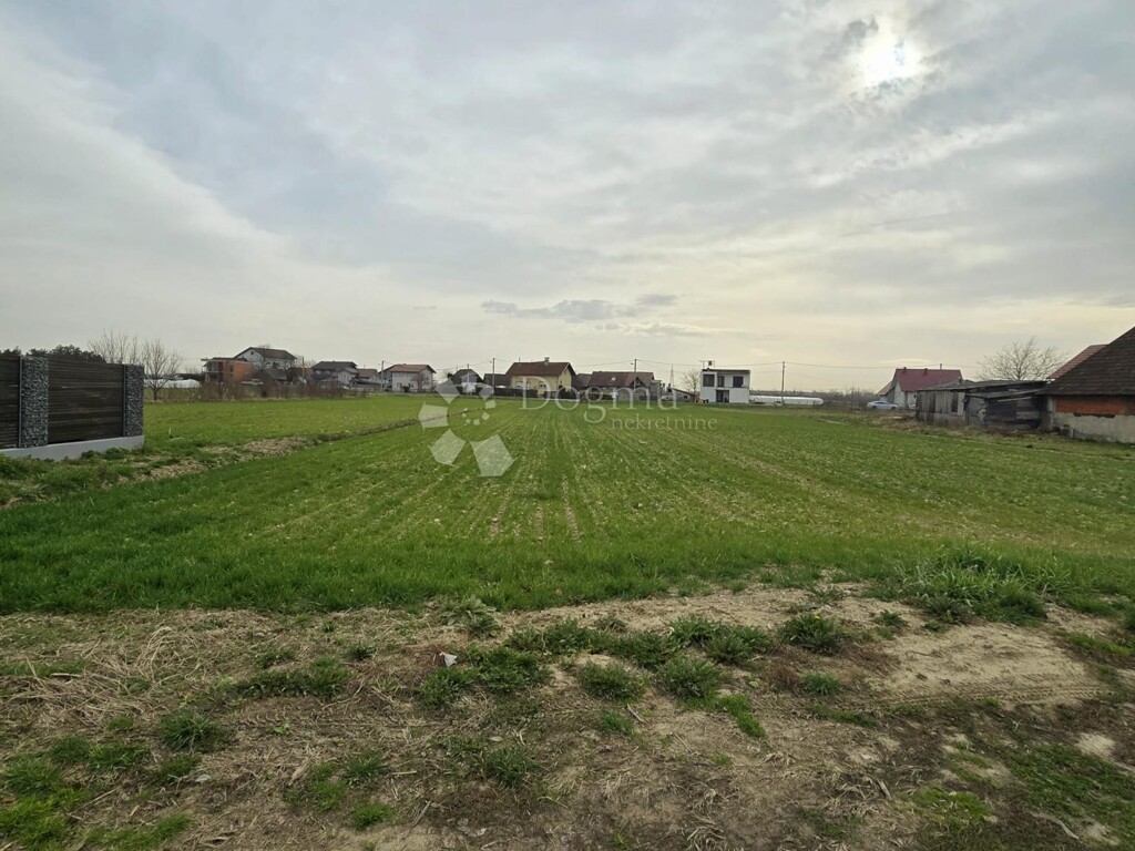 Image 6253451 - 2
