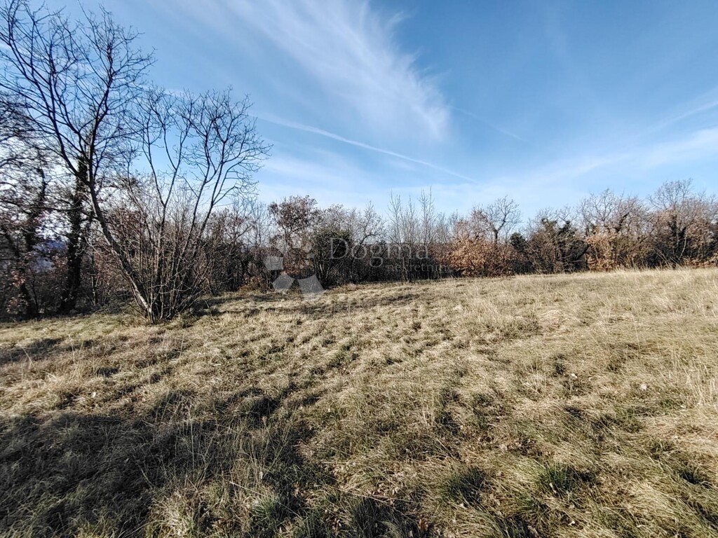 Image 6253454 - 4