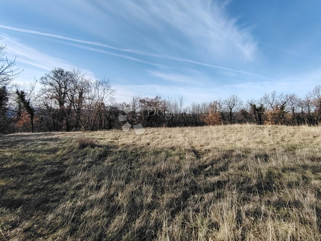 Image 6253456 - 6