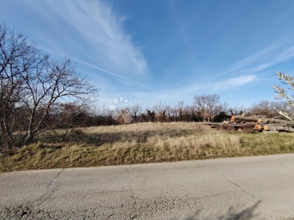 Image 6253456 - 4