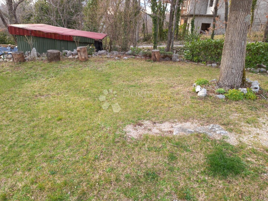 Image 6253473 - 5