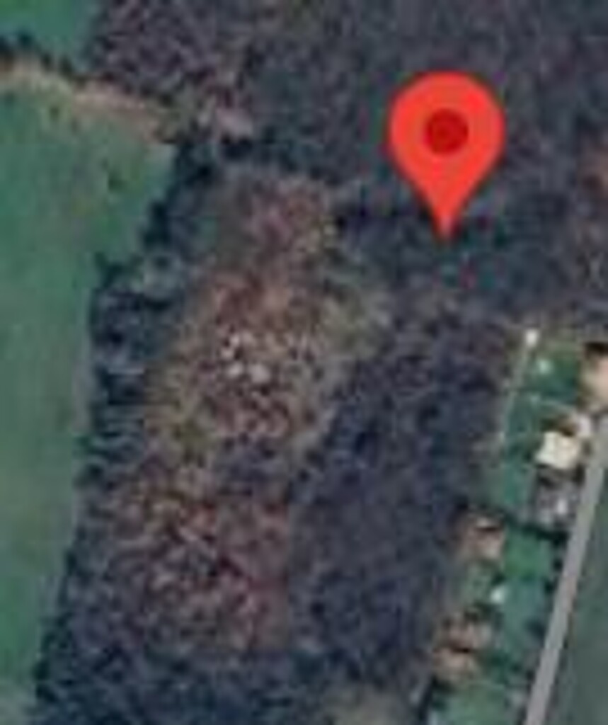 Image 6253474 - 1