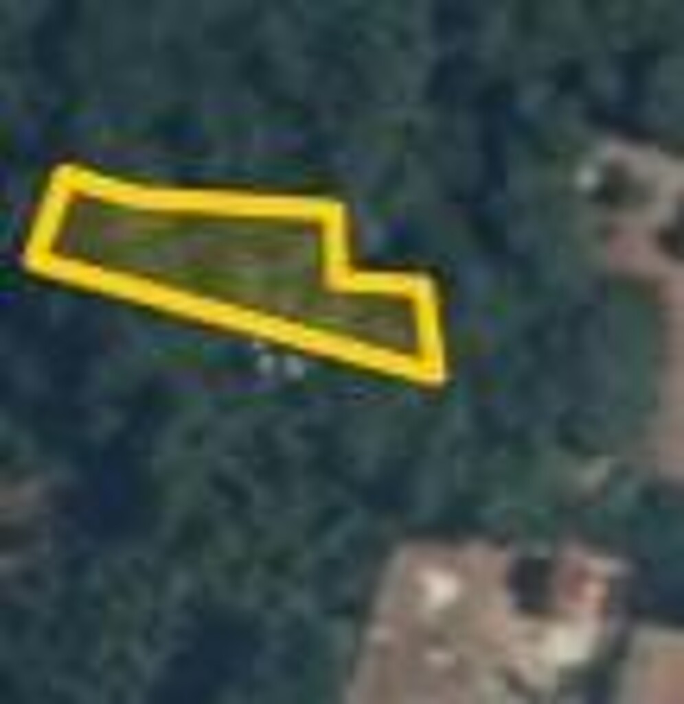 Image 6253474 - 3