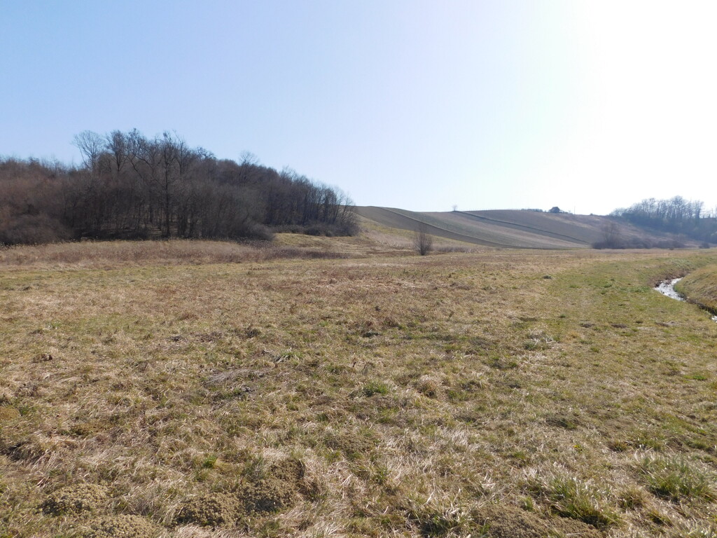Image 6253532 - 10