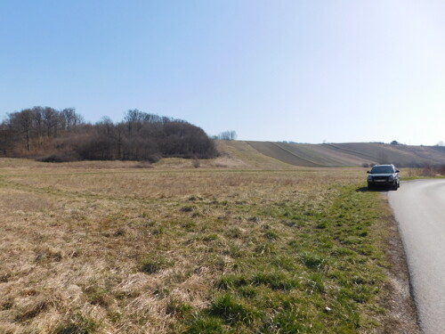 Sv. I. Zelina -zemljište 2800 m2 građ. + 7140 m2 poljo.