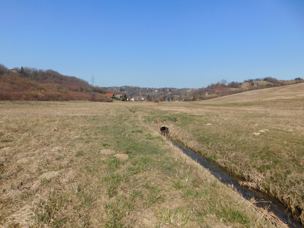 Image 6253532 - 7