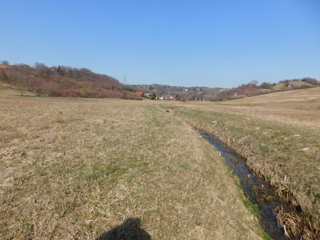 Image 6253532 - 8