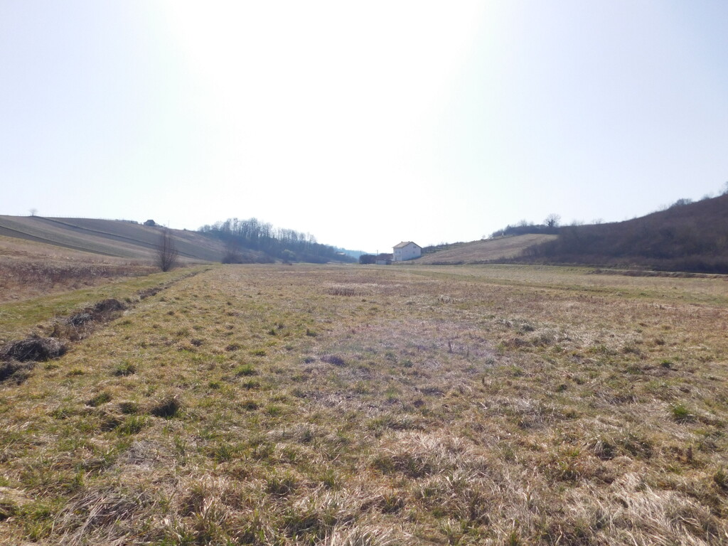 Image 6253532 - 6