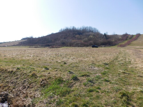Sv. I. Zelina -zemljište 2800 m2 građ. + 7140 m2 poljo.