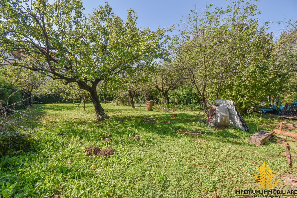 Image 6253648 - 6