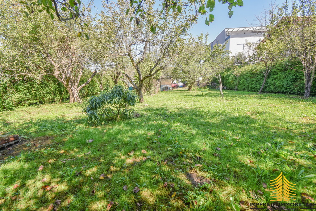 Image 6253648 - 5