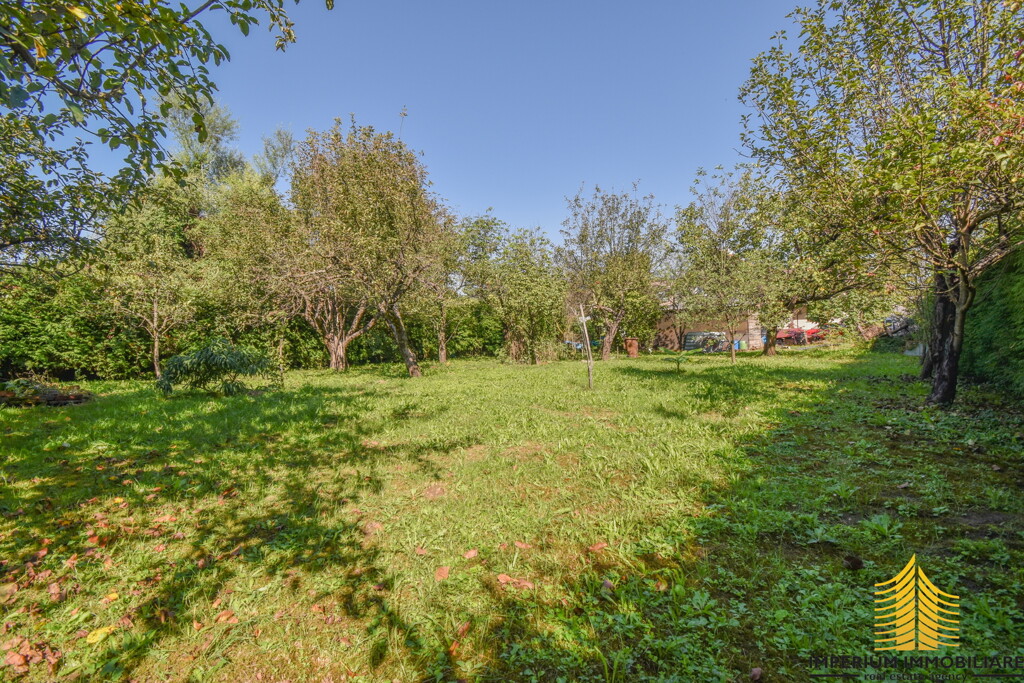 Image 6253648 - 10