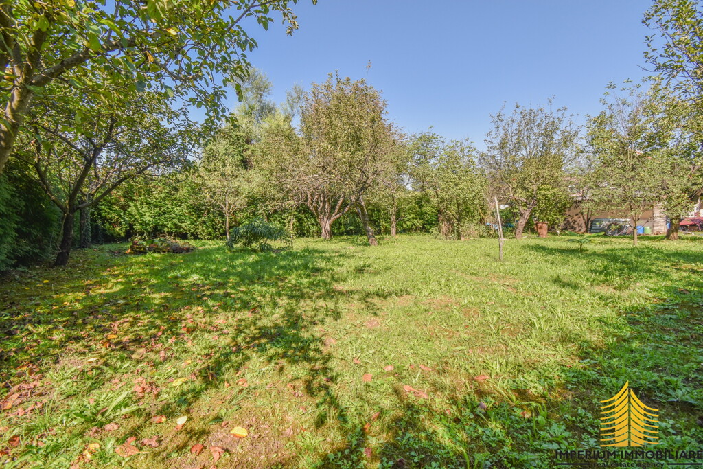 Image 6253648 - 8
