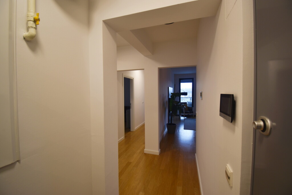 Image 6253662 - 2