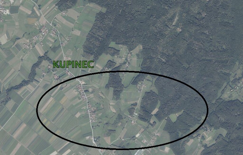 Image 6253679 - 1