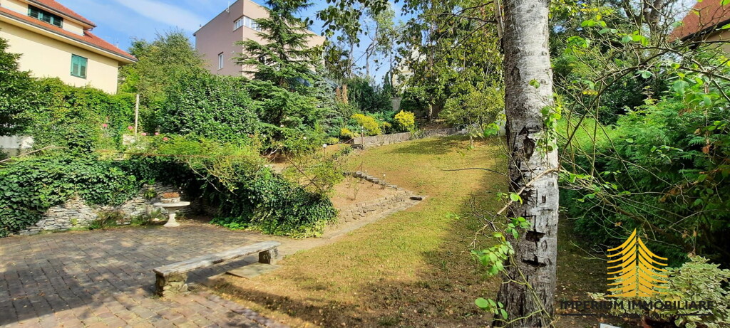 Image 6253779 - 1