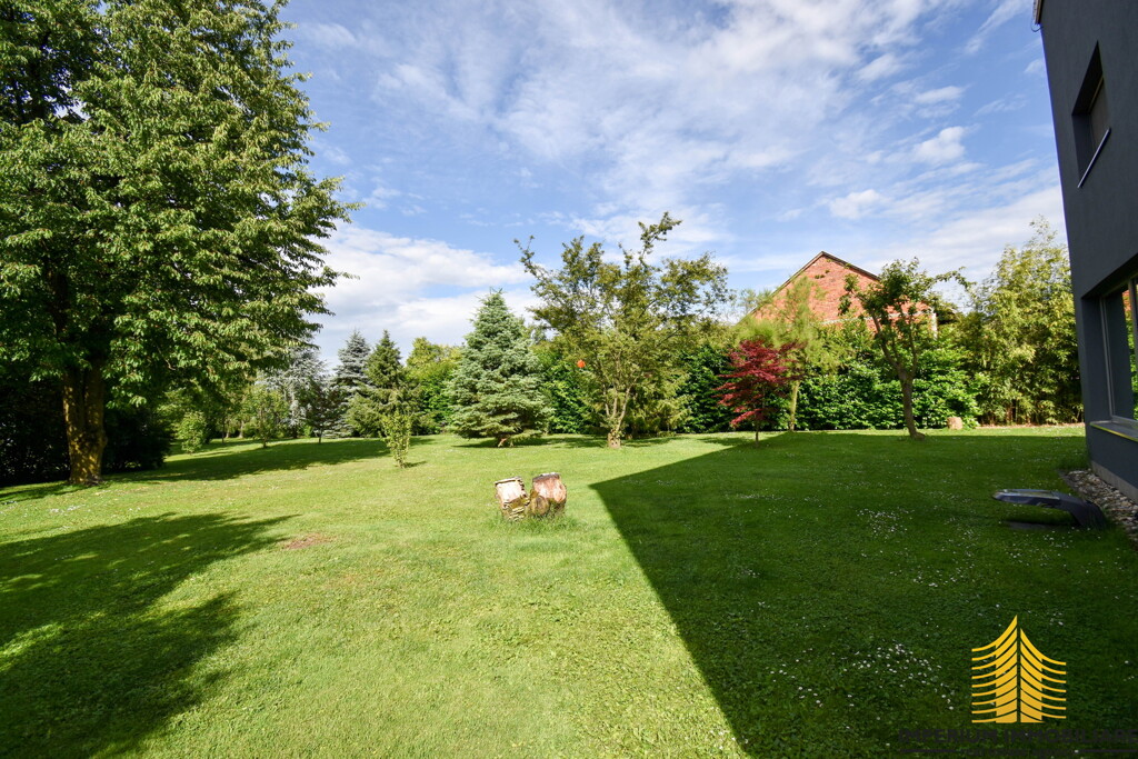 Image 6253859 - 19