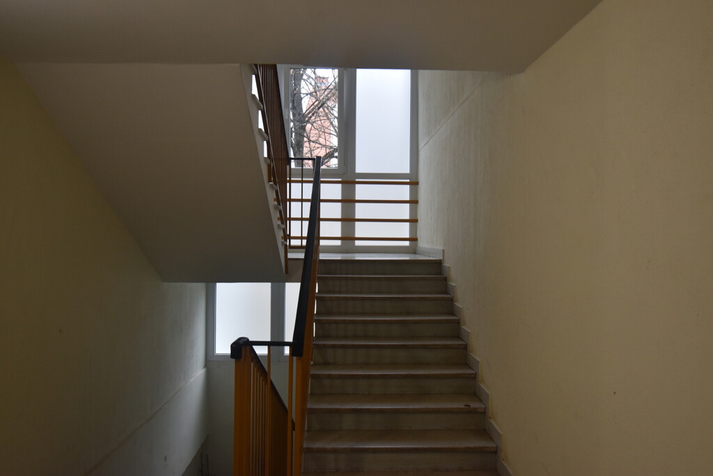 Image 6253896 - 14