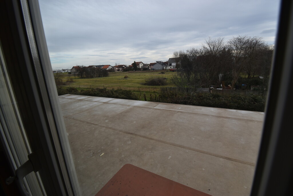Image 6253900 - 11