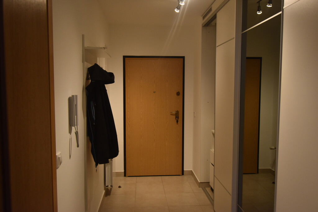 Image 6253906 - 11