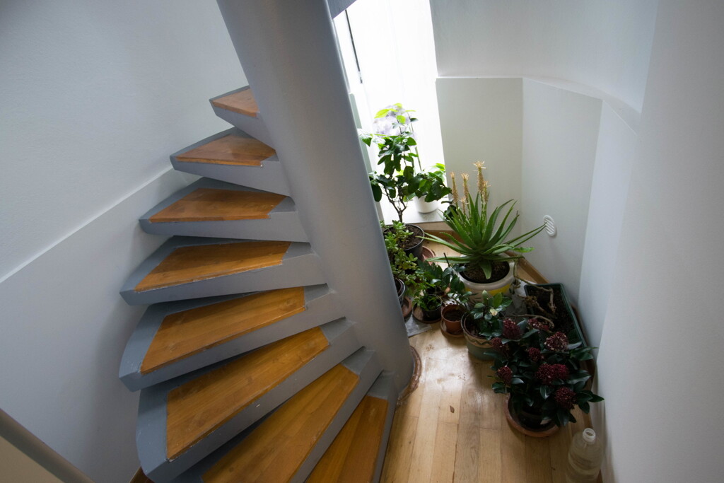 Image 6253970 - 5