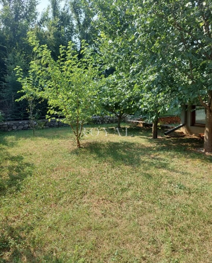 Image 6254101 - 6