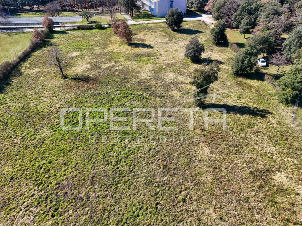 Image 6254119 - 1