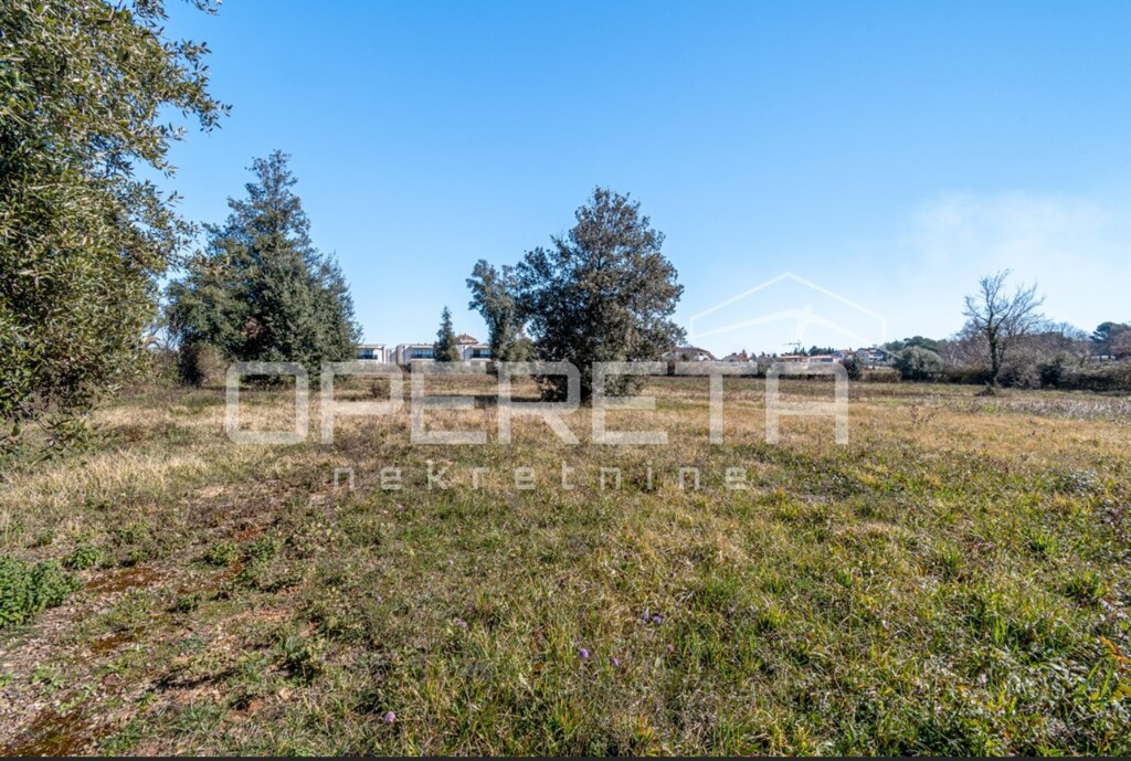 Image 6254119 - 5