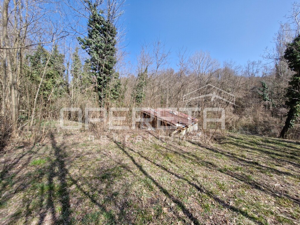 Image 6254124 - 3