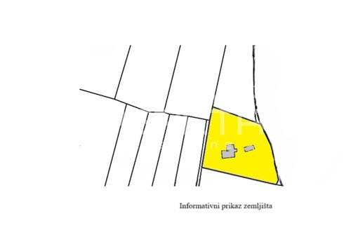 Thumbnail 6254124 - 2