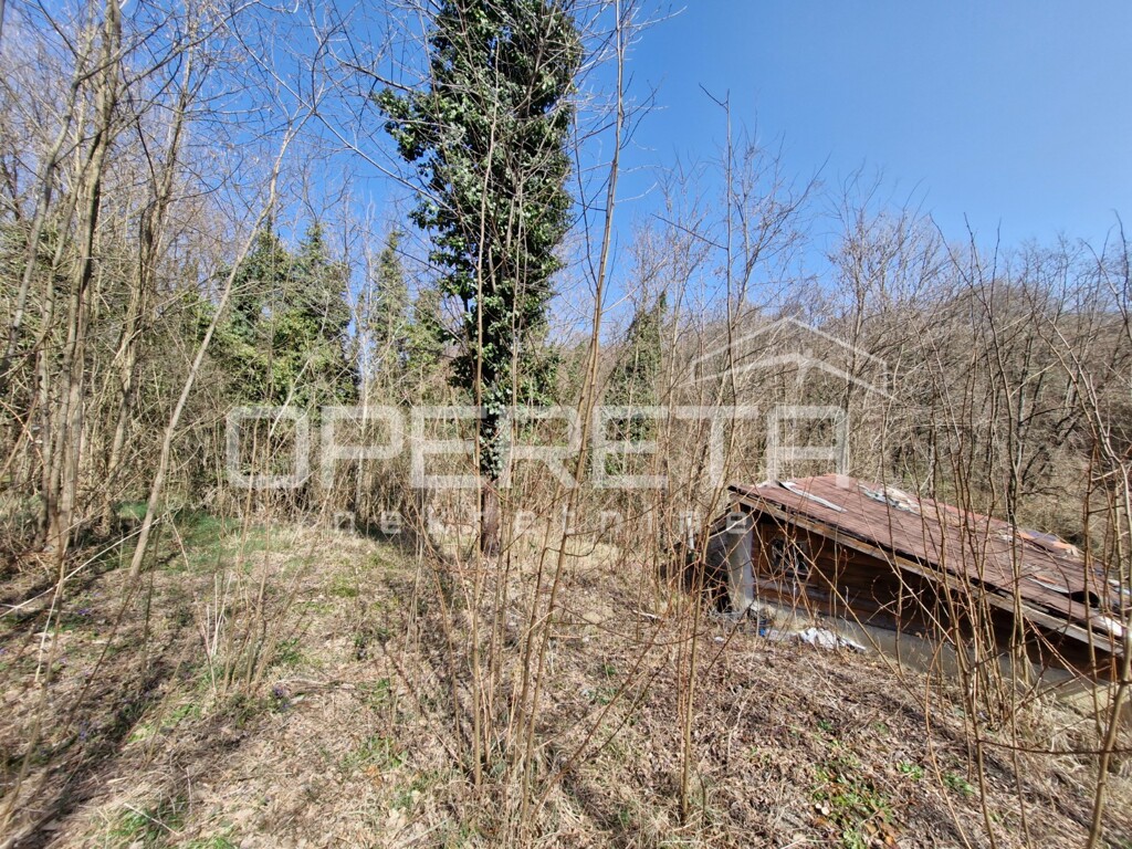 Image 6254124 - 4
