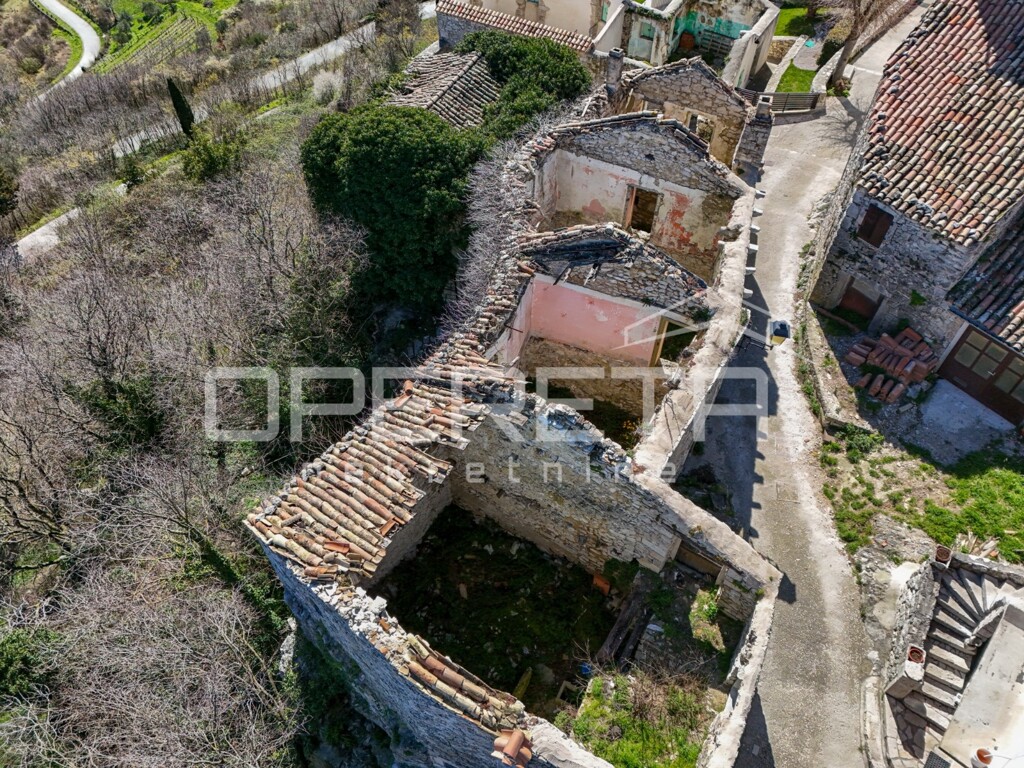 Image 6254132 - 12