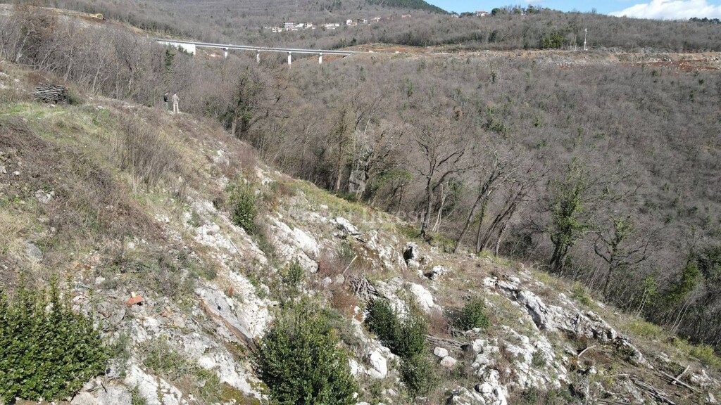Image 6254148 - 12
