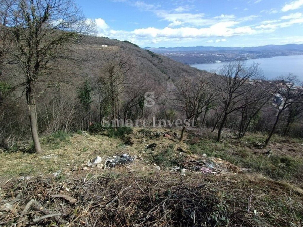 Image 6254149 - 6